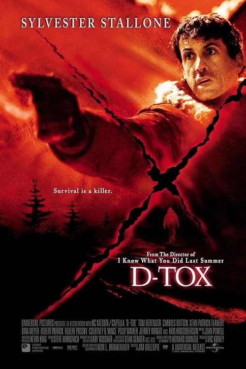 D-Tox film posteri
