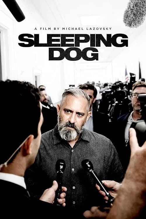 Sleeping Dog film posteri